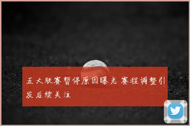 五大联赛暂停原因曝光 赛程调整引发后续关注