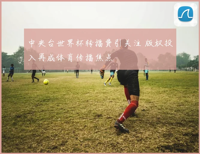 中央台世界杯转播费引关注 版权投入再成体育传播焦点