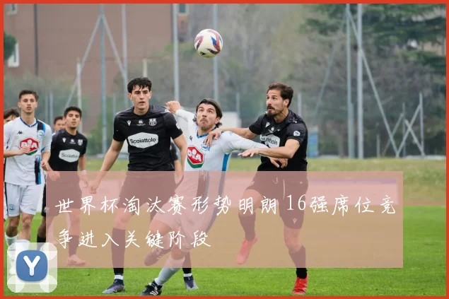 世界杯淘汰赛形势明朗 16强席位竞争进入关键阶段