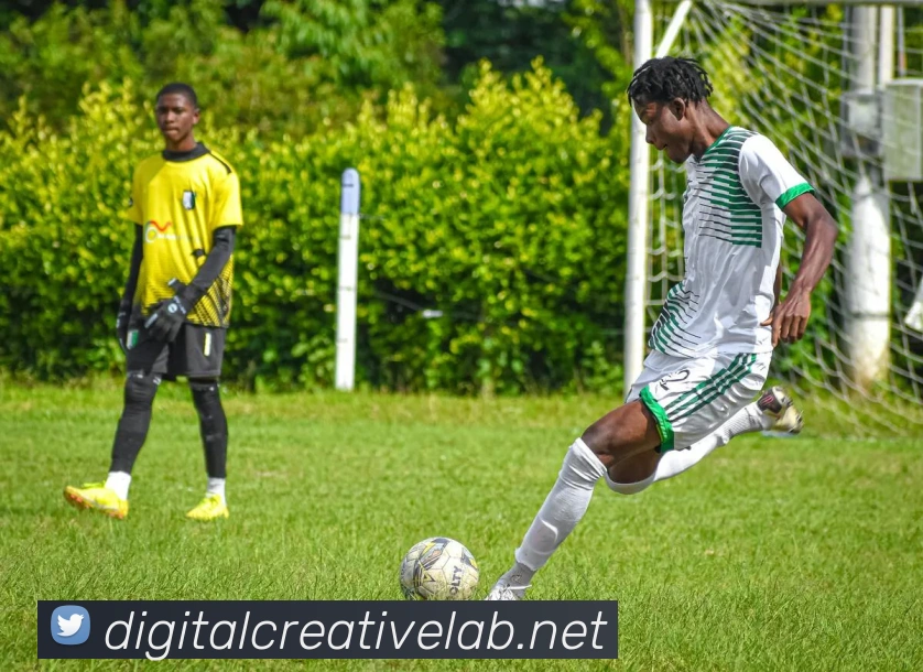 kiayun官网服务体系